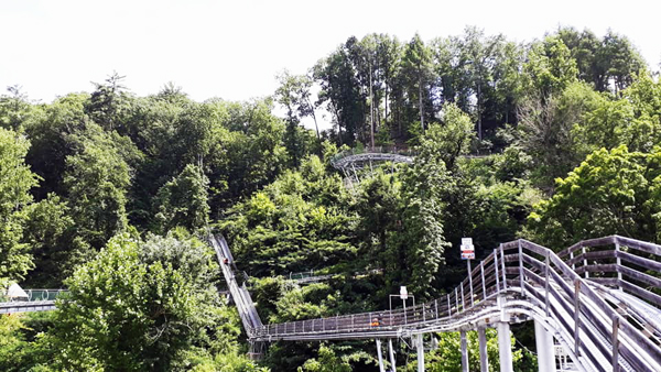 Alpine Coaster Pigeon Forge