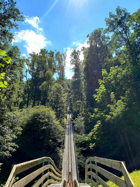 Alpine Coaster Pigeon Forge