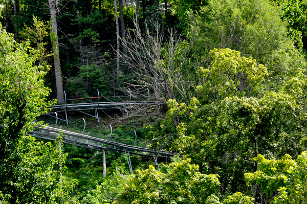 Alpine Coaster Pigeon Forge