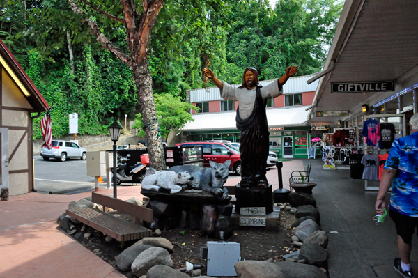 Jesus statue and wildlife