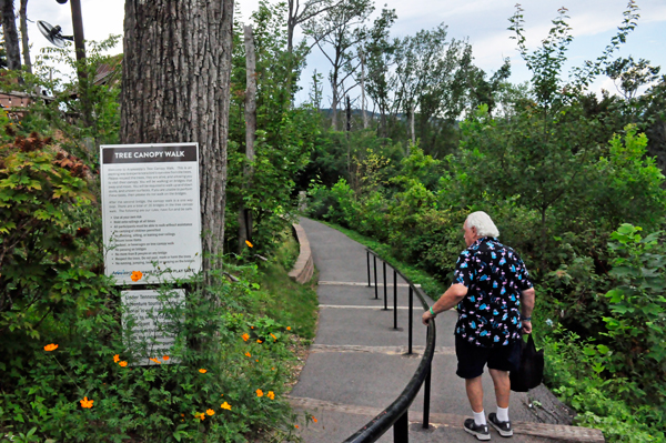 Lee Duquette entering Treetop Skywalk