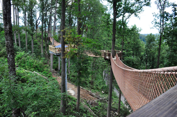 multiple swinging bridges