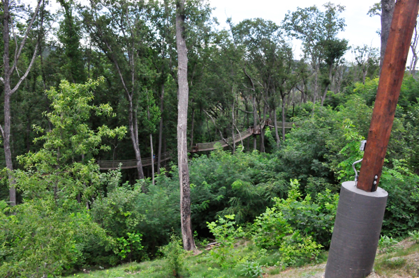 swinging bridge