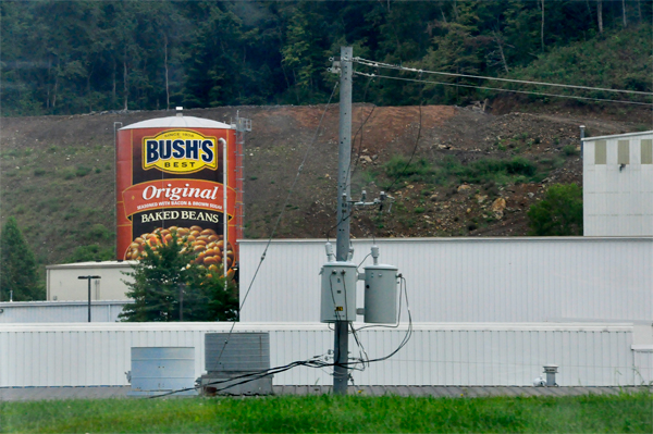 Bush's baked beans