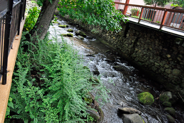 riverside dining at Best Italian