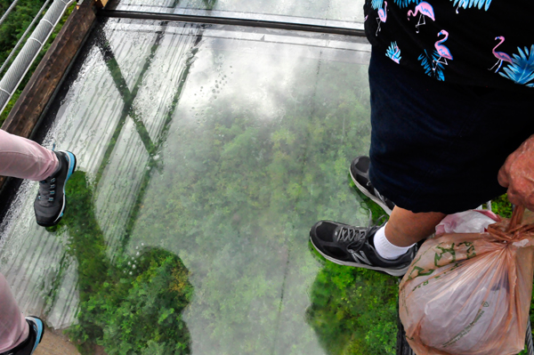 Lee Duquette on the glass bottom skybridge