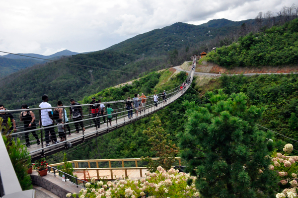 The Gatlinburg Skybridge