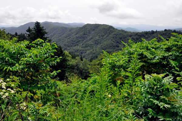 mountains in Great Smoky Mountains National Park