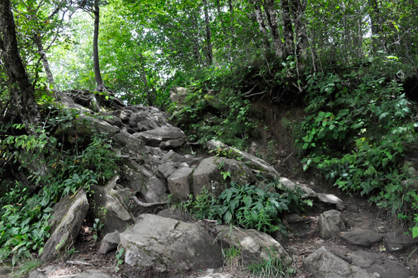 Trails near the parking lot 