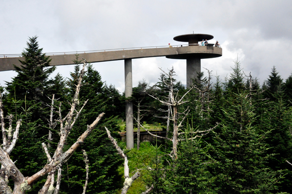 Clingmans Dome Observation Tower