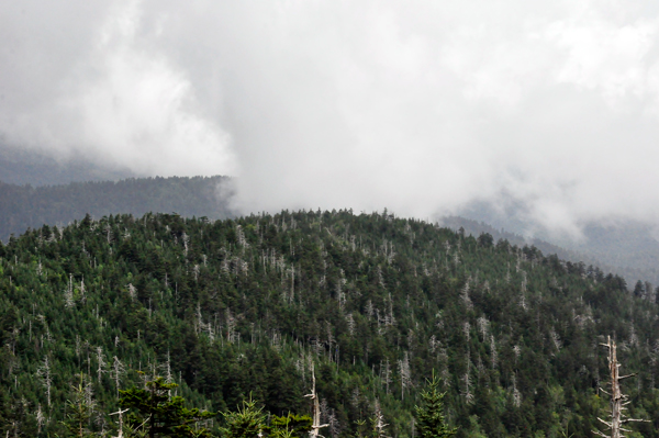 hostile environment of highland Appalachia