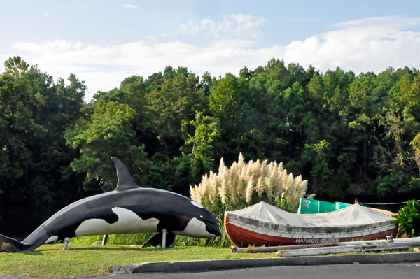 whale and boat at Benjamin's Seafood Restaurant