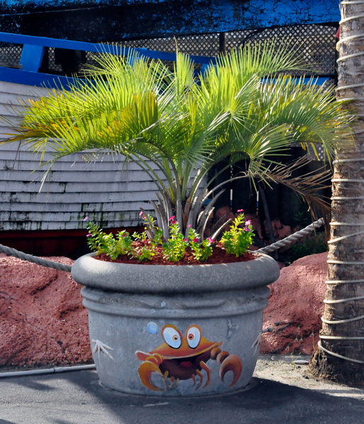 crab planter