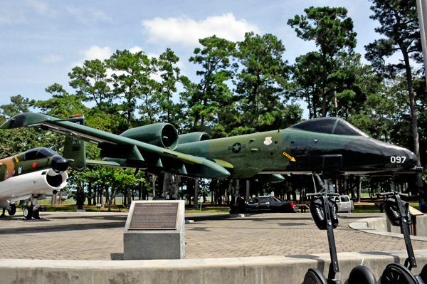 The Warthog