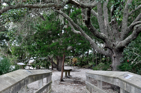 leaving the boardwalk to the Wishing Tree area