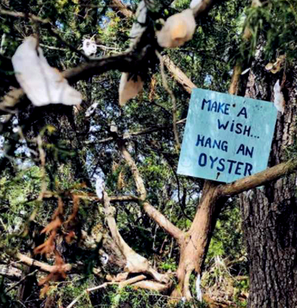 The Wishing Tree and sign