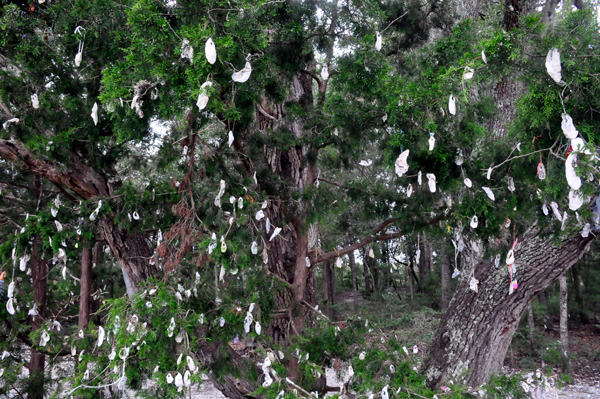 The Wishing tree