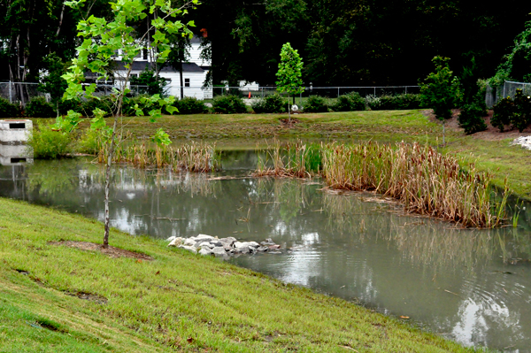 pond at CrossRoads