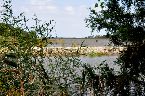 flooded area