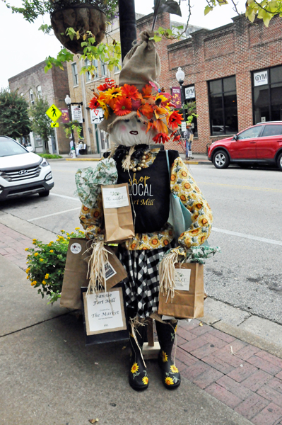 The Market Lady