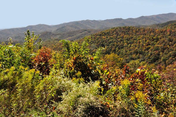 fall colors on the Blue Ridge Parkway