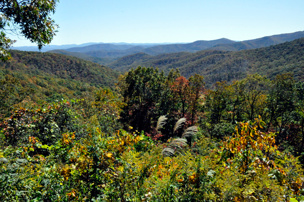 fall colors on the Blue Ridge Parkway