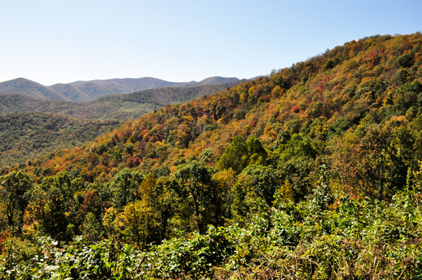 fall colors on the Blue Ridge Parkway