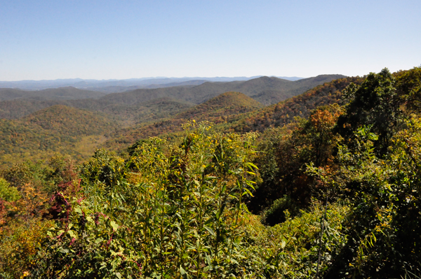 fall colors on the Blue Ridge Parkway