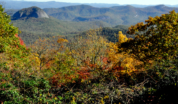 fall colors on the Blue Ridge Parkway