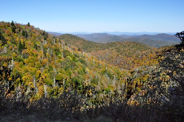 fall colors on the Blue Ridge Parkway