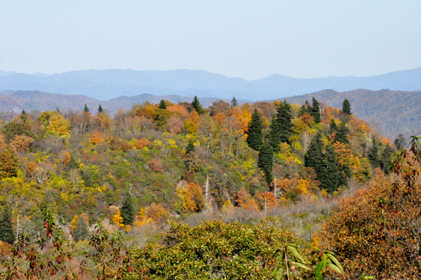 fall colors on the Blue Ridge Parkway