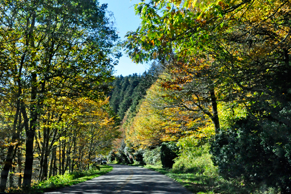 fall colors on the Blue Ridge Parkway