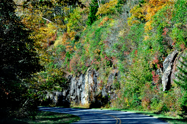 fall colors on the Blue Ridge Parkway