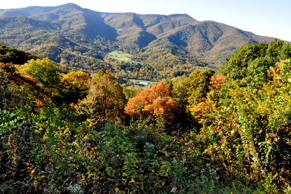 fall colors on the Blue Ridge Parkway