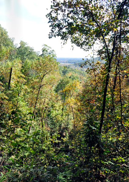 view of fall colors