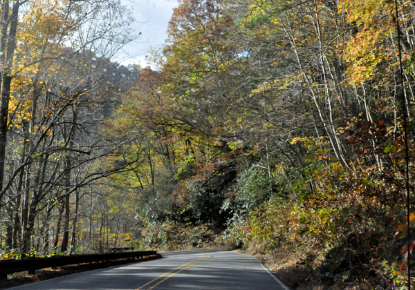 autumn colors by the road