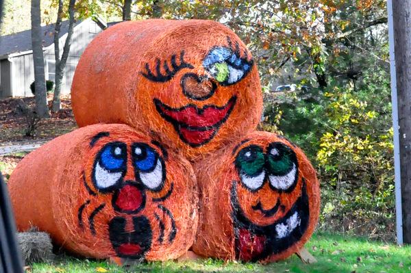 pumpkin hay bales