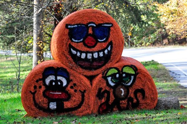 pumpkin hay bales