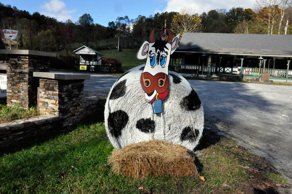 cow hay bale