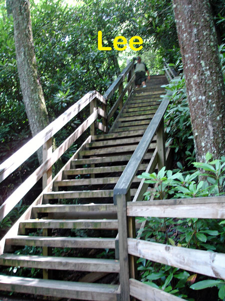 Lee Duquette on the stairs