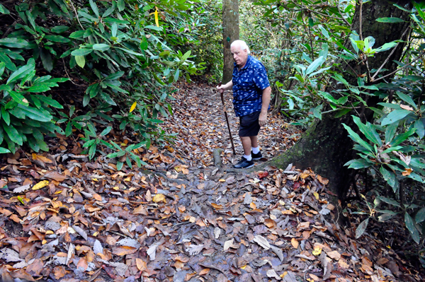 Lee Duquette on the Ada-Hi Falls Trail steps