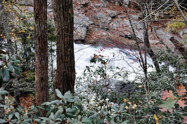 Cullasaja Falls and fall colors