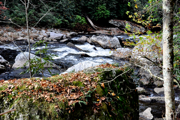 Cullasaja Falls and fall colors