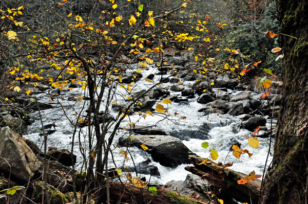 Cullasaja Falls and fall colors