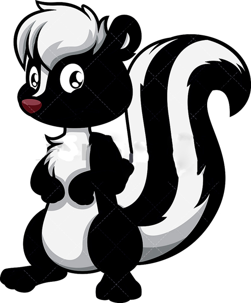 skunk clipart