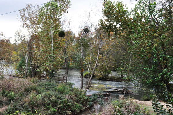 the canal at Riverfront Park in Columbia SC