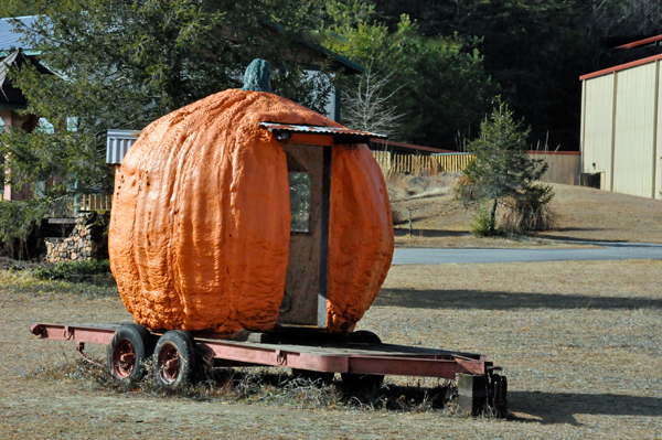 giant orange pumpkin house