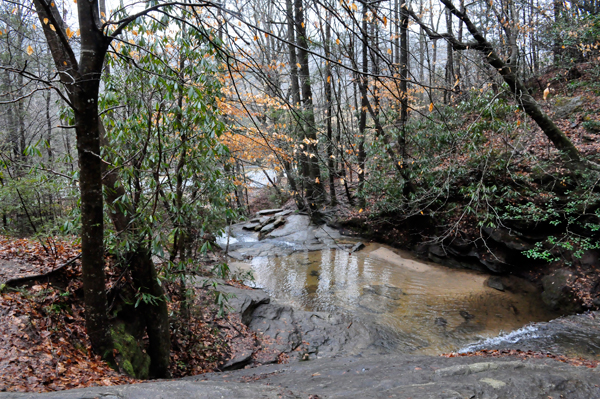 water flowing in the woods