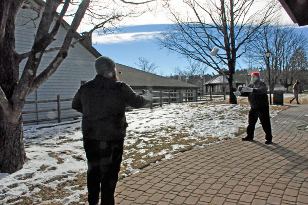 snowball throwing time