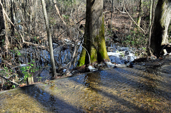 the water flowing across the hiking trail